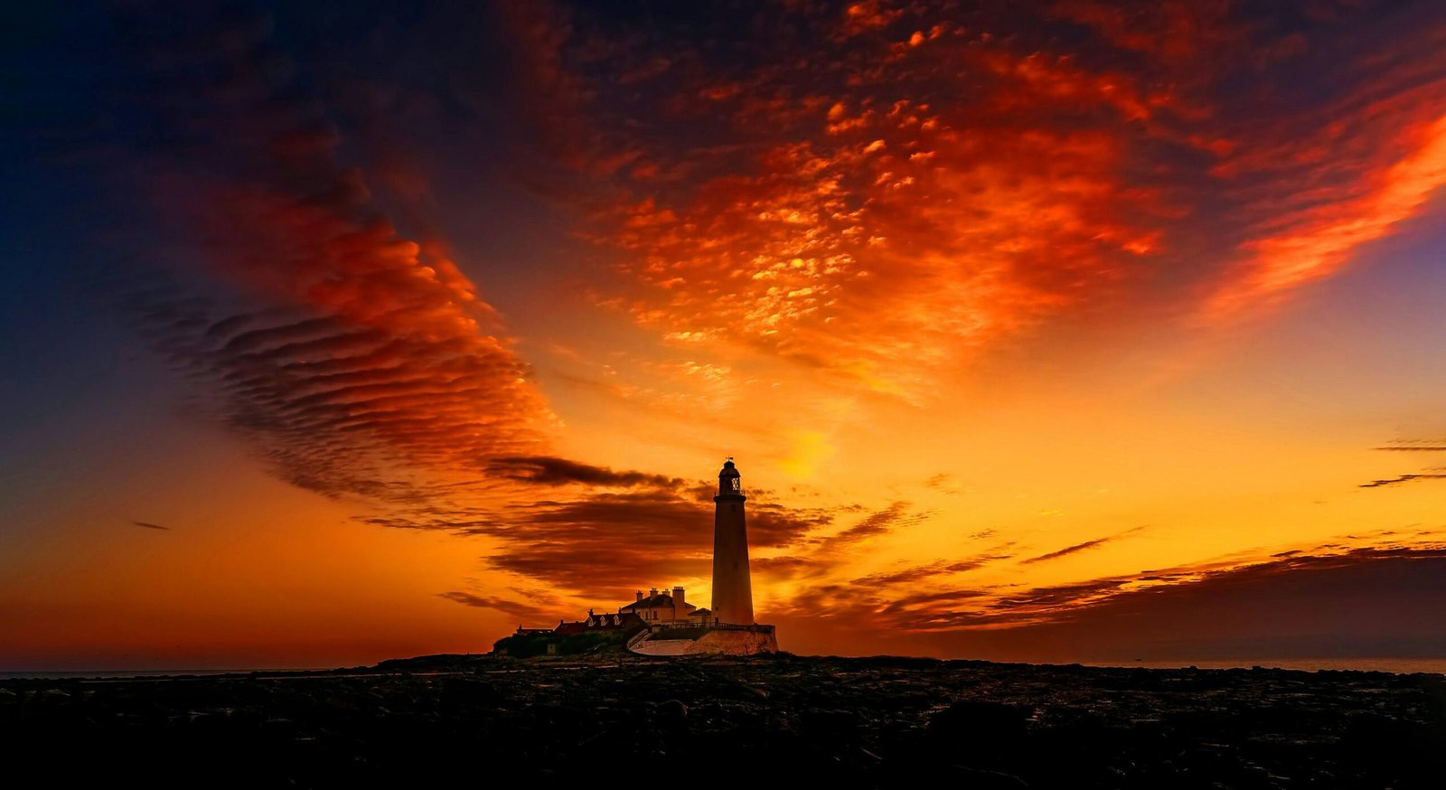 Faro 3